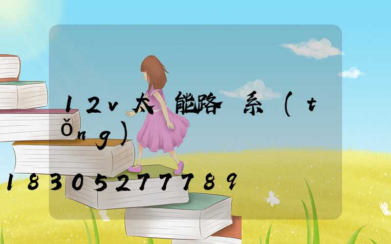 12v太陽能路燈系統(tǒng)