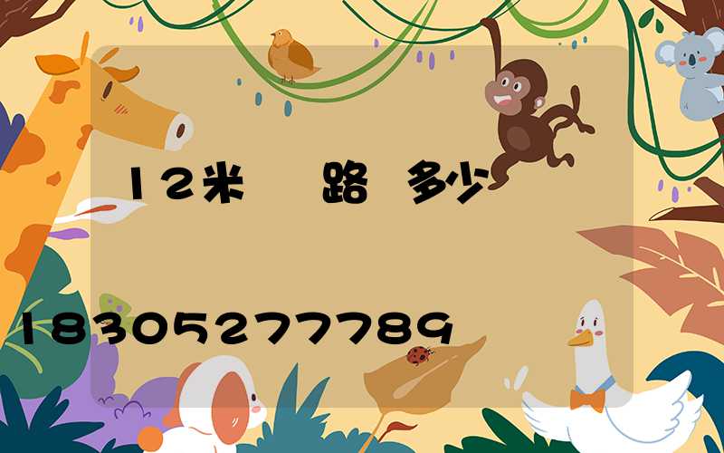 12米雙頭路燈多少錢