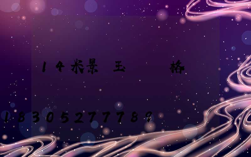 14米景觀玉蘭燈價格