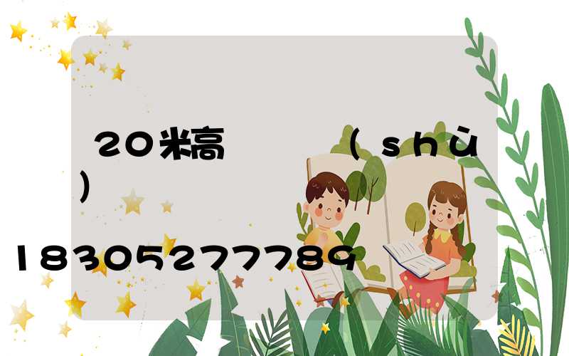 20米高桿燈參數(shù)