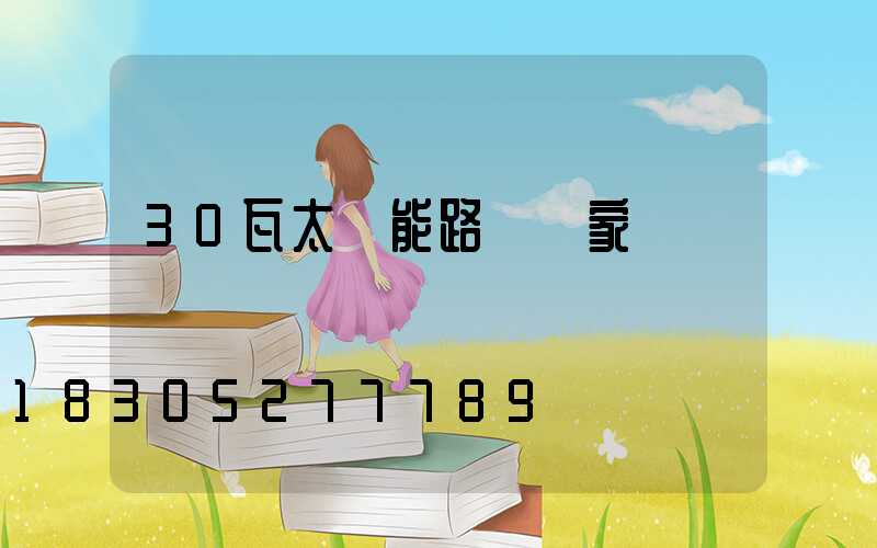 30瓦太陽能路燈廠家