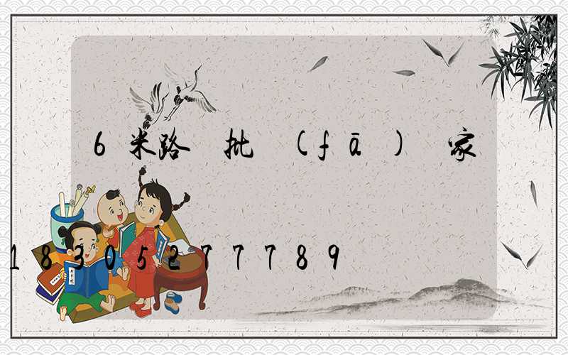 6米路燈批發(fā)廠家