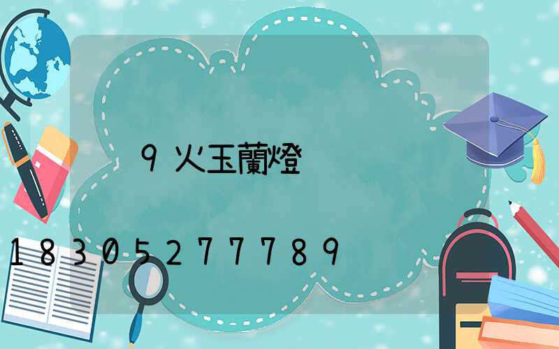9火玉蘭燈