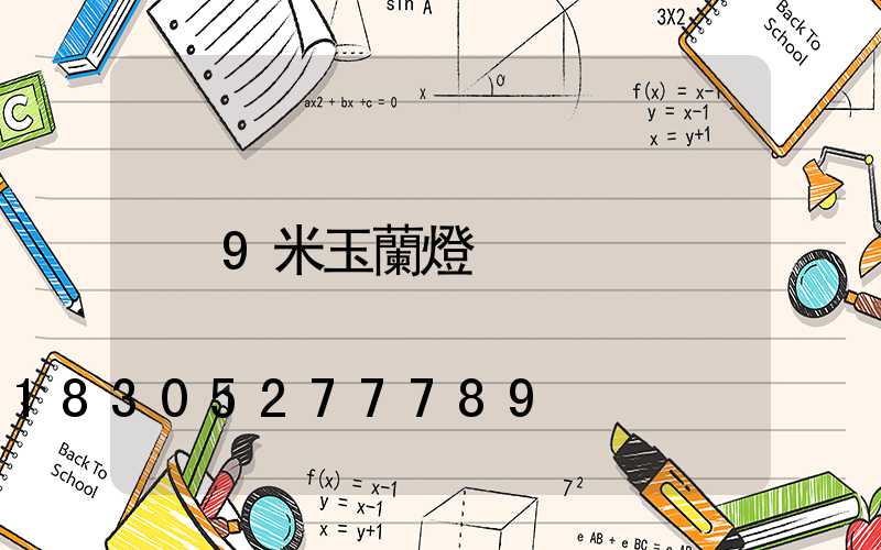 9米玉蘭燈