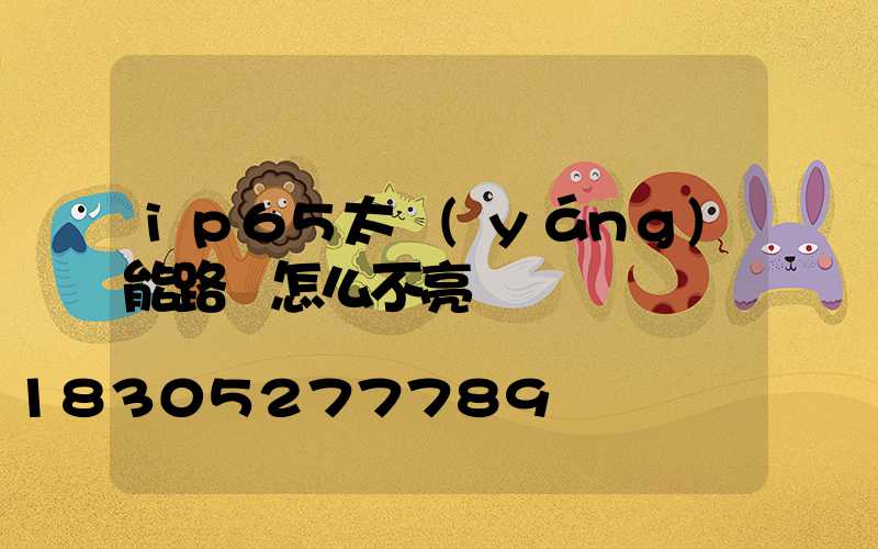 ip65太陽(yáng)能路燈怎么不亮