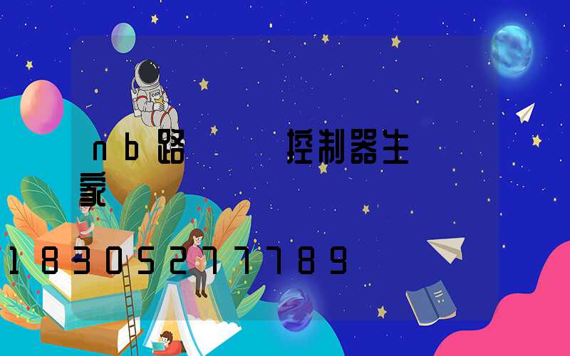 nb路燈單燈控制器生產廠家