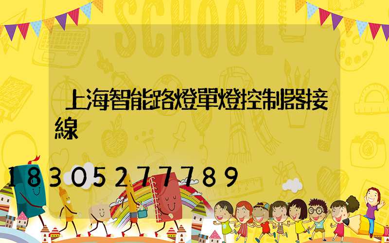 上海智能路燈單燈控制器接線