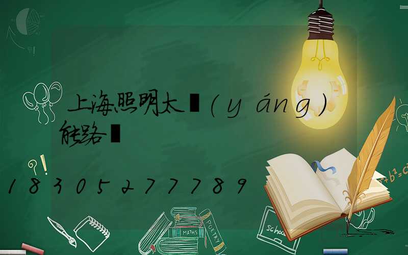 上海照明太陽(yáng)能路燈