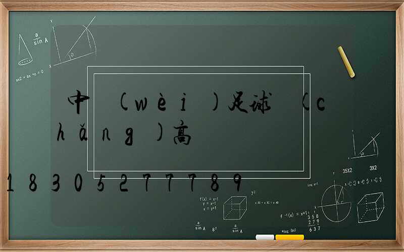 中衛(wèi)足球場(chǎng)高桿燈