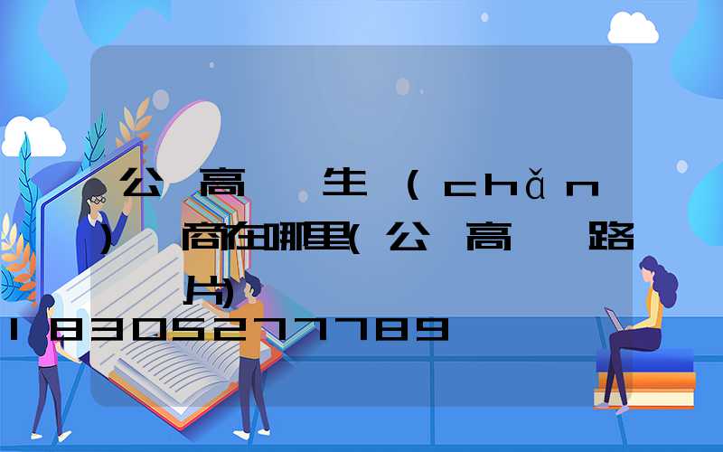 公園高桿燈生產(chǎn)廠商在哪里(公園高桿燈路燈圖片)