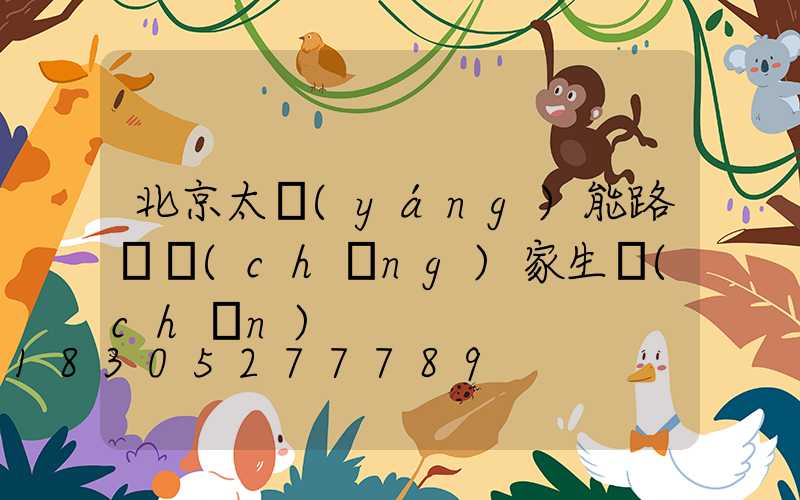 北京太陽(yáng)能路燈廠(chǎng)家生產(chǎn)