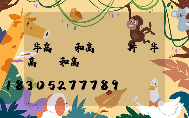 半高桿燈和高桿燈圖片(半高桿燈和高桿燈區(qū)別)