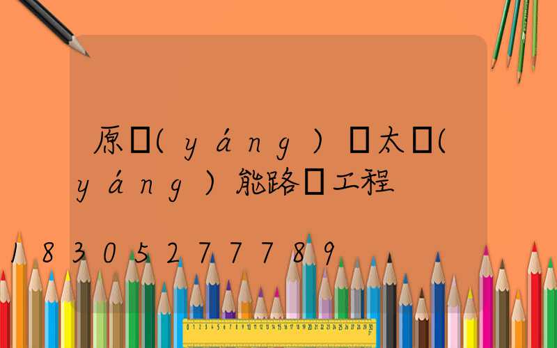 原陽(yáng)縣太陽(yáng)能路燈工程