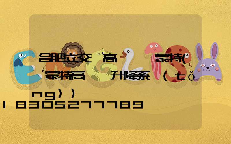 合肥立交橋高桿燈維蒙特(維蒙特高桿燈升降系統(tǒng))