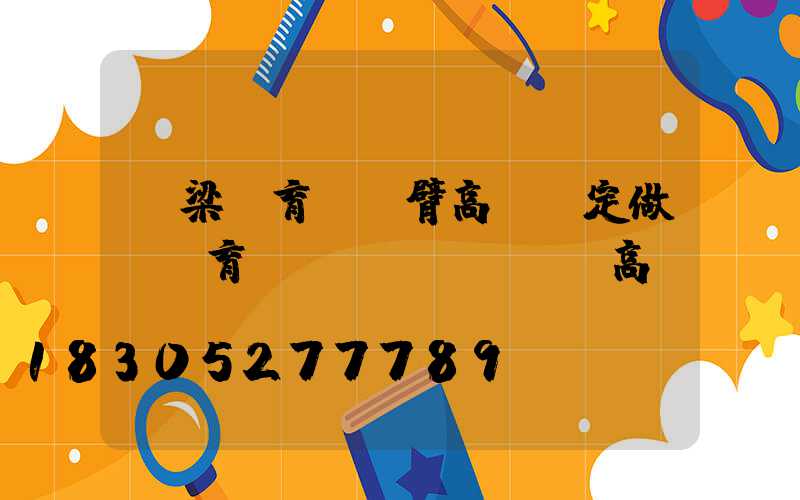 呂梁體育館雙臂高桿燈定做(體育場(chǎng)高桿燈)