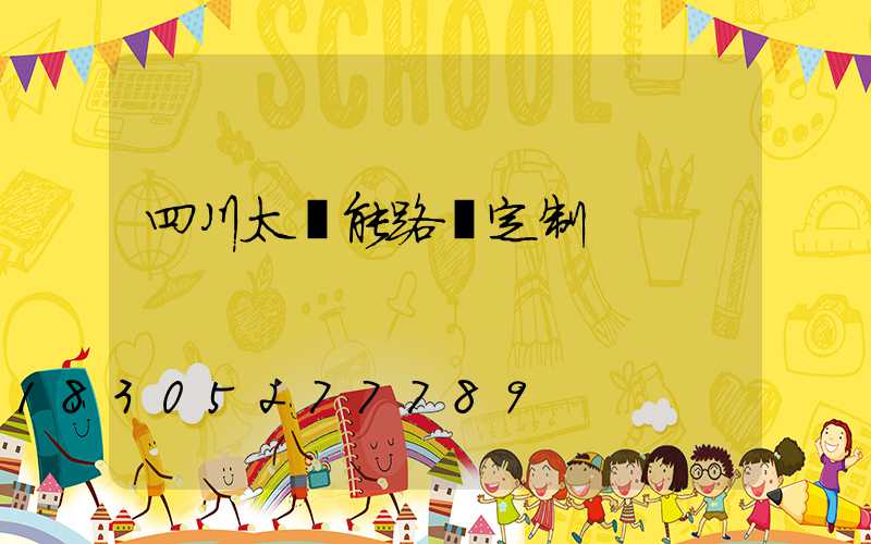 四川太陽能路燈定制