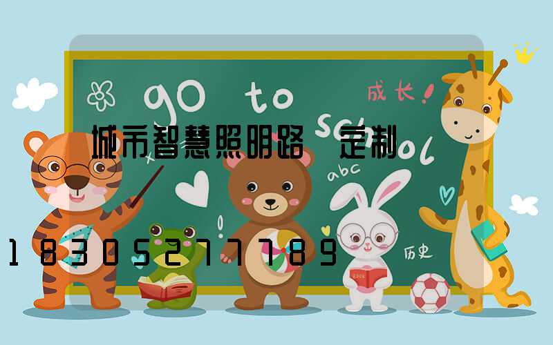 城市智慧照明路燈定制