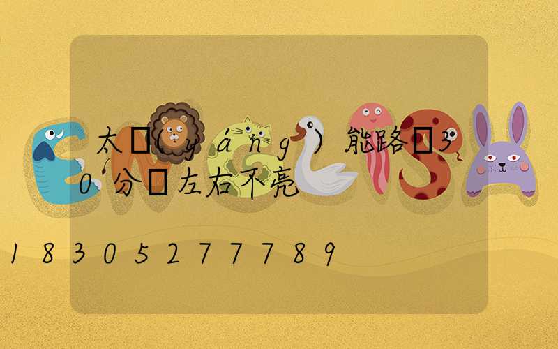 太陽(yáng)能路燈30分鐘左右不亮