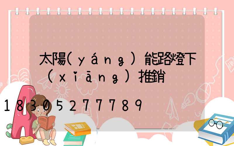 太陽(yáng)能路燈下鄉(xiāng)推銷