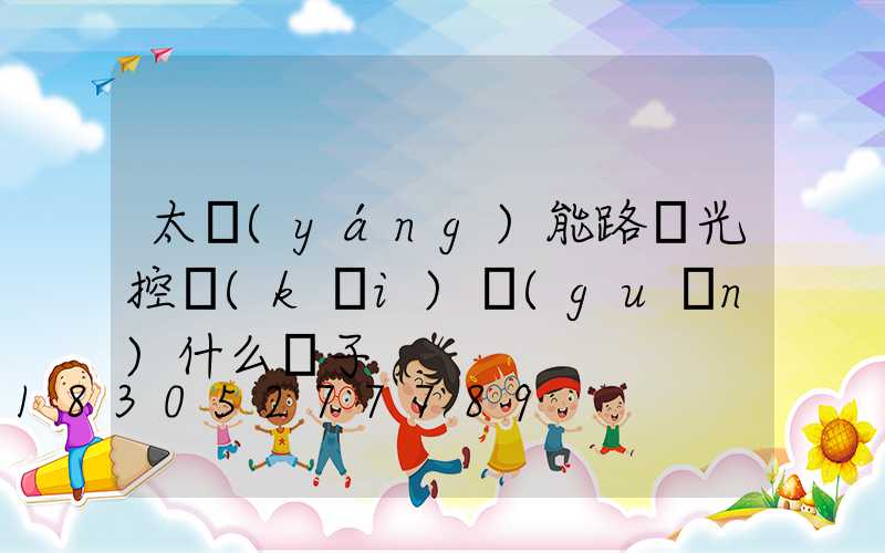 太陽(yáng)能路燈光控開(kāi)關(guān)什么樣子