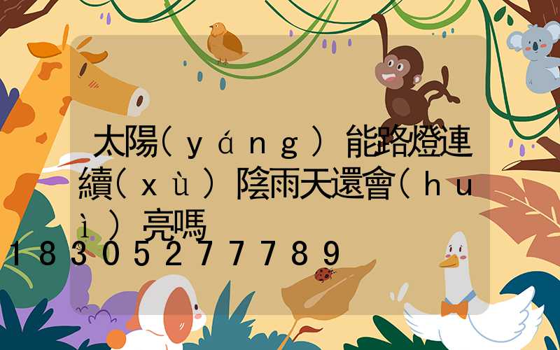 太陽(yáng)能路燈連續(xù)陰雨天還會(huì)亮嗎