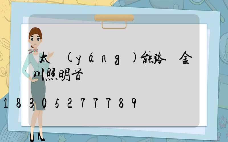 太陽(yáng)能路燈金川照明首選