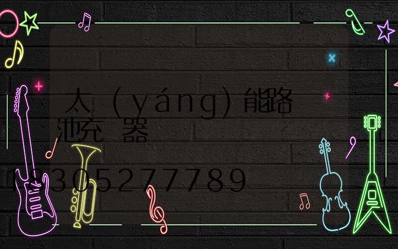 太陽(yáng)能路燈電池充電器