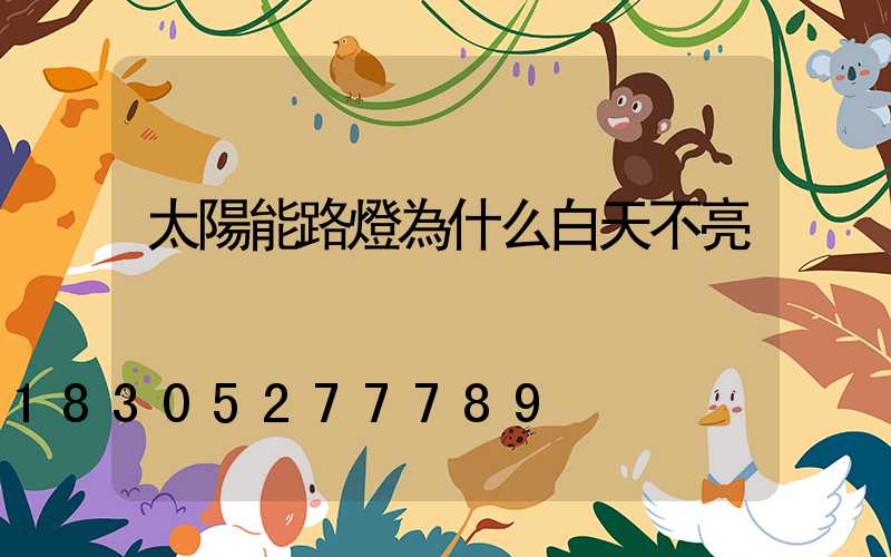太陽能路燈為什么白天不亮