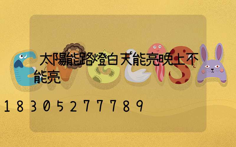 太陽能路燈白天能亮晚上不能亮