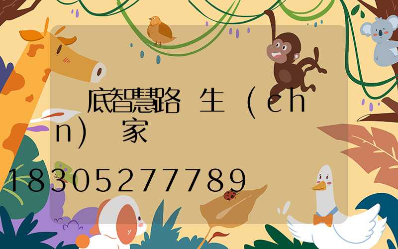 婁底智慧路燈生產(chǎn)廠家