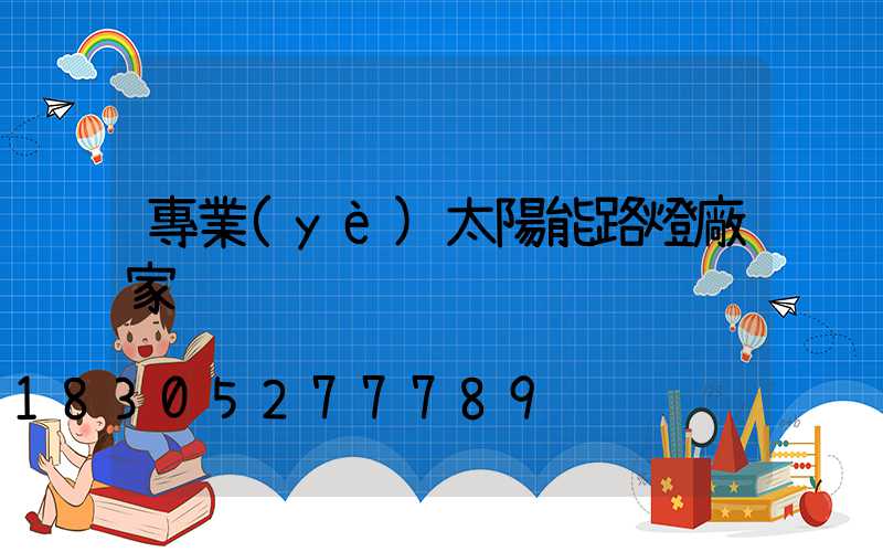 專業(yè)太陽能路燈廠家
