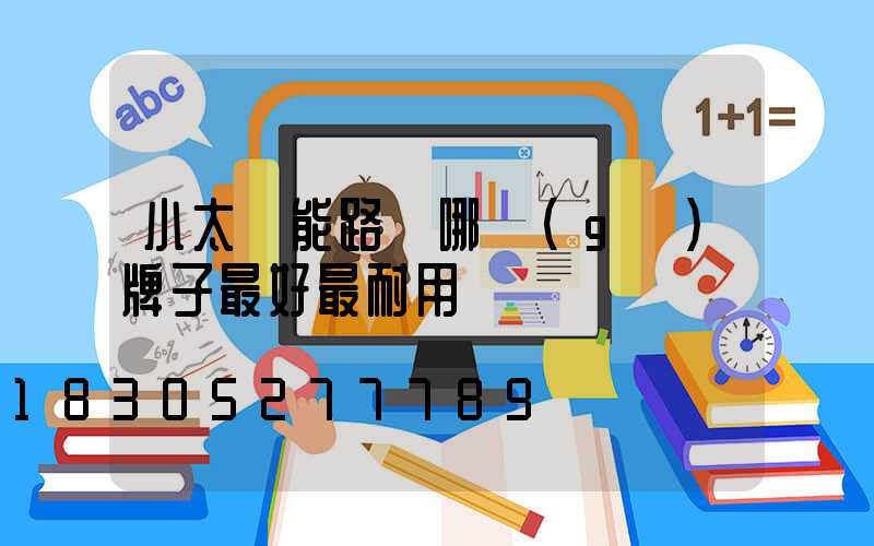 小太陽能路燈哪個(gè)牌子最好最耐用