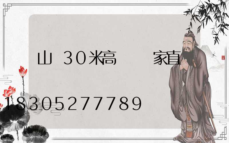 山東30米高桿燈廠家直銷