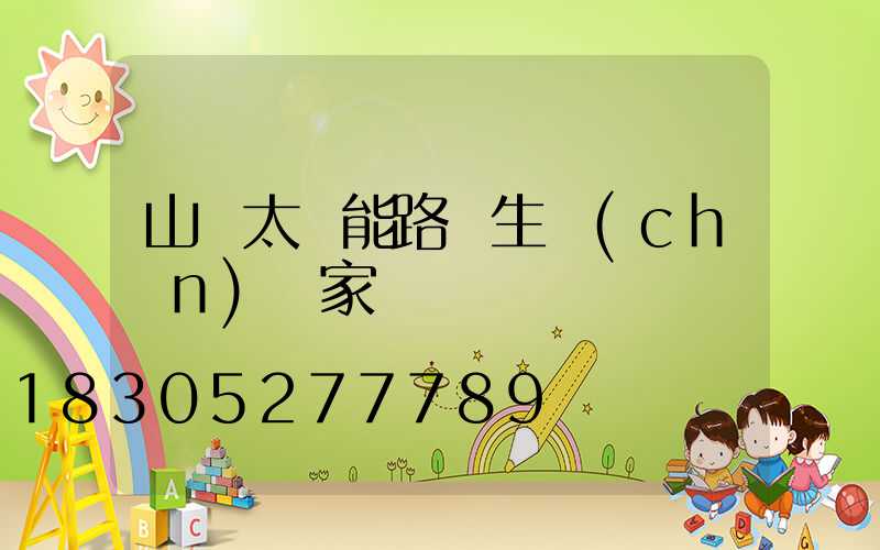 山東太陽能路燈生產(chǎn)廠家