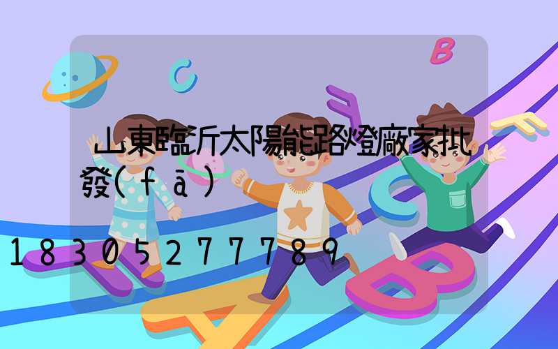 山東臨沂太陽能路燈廠家批發(fā)