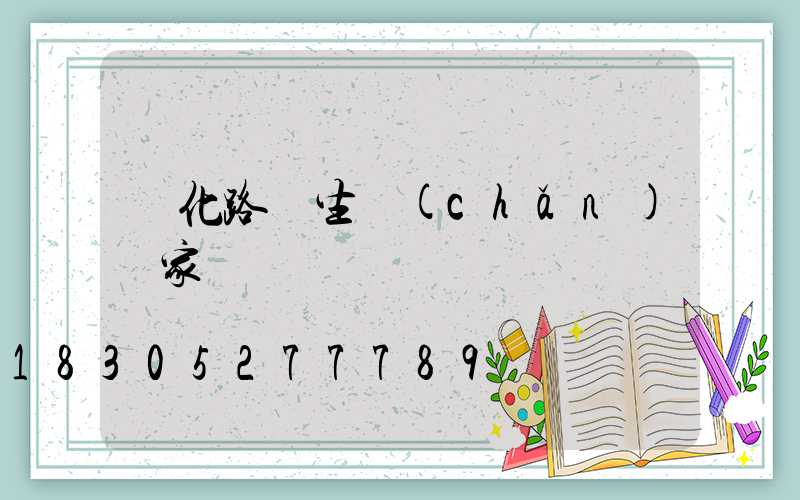 懷化路燈生產(chǎn)廠家