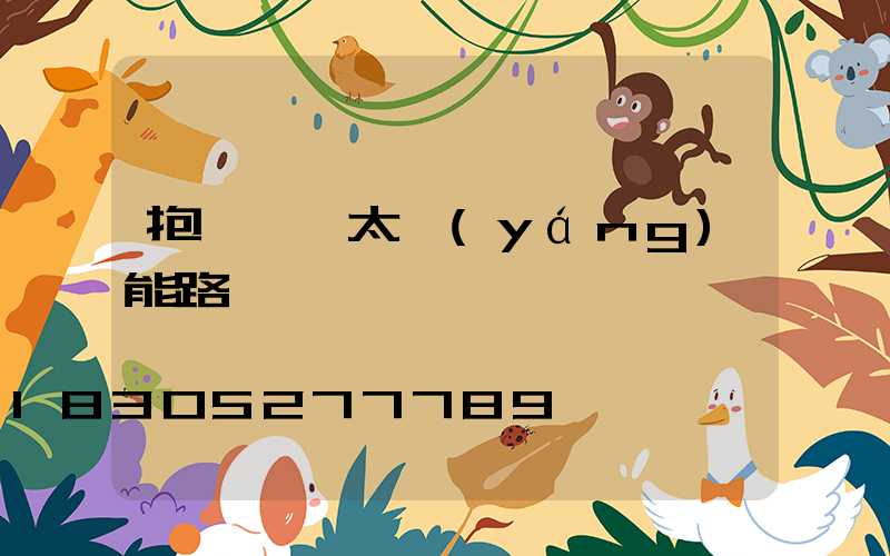 抱電線桿太陽(yáng)能路燈