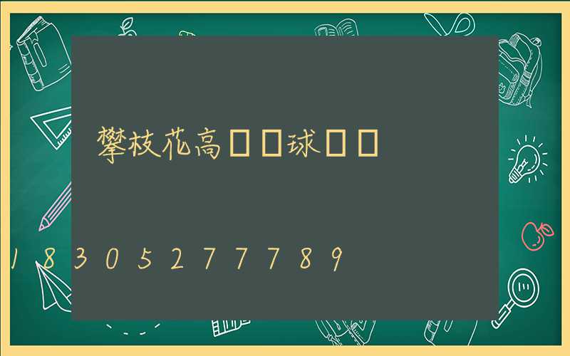 攀枝花高桿燈球場燈
