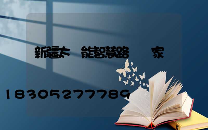 新疆太陽能智慧路燈廠家