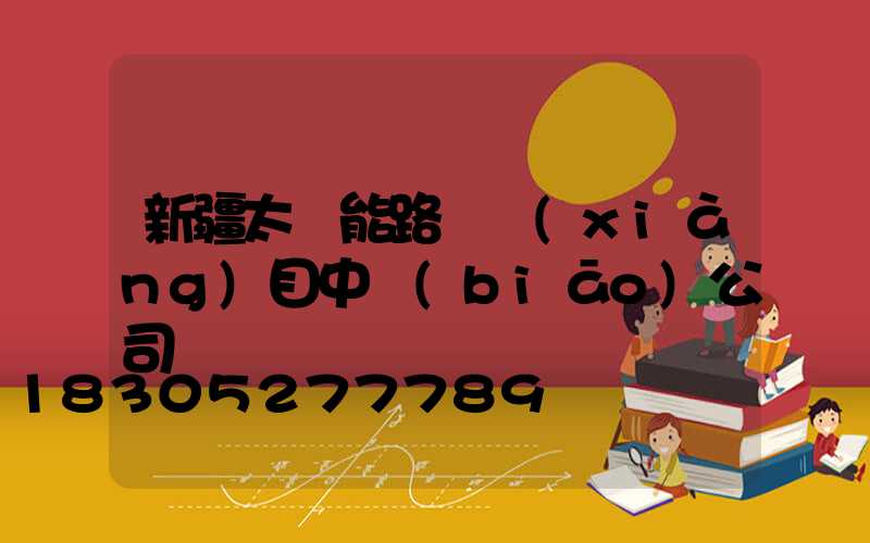 新疆太陽能路燈項(xiàng)目中標(biāo)公司