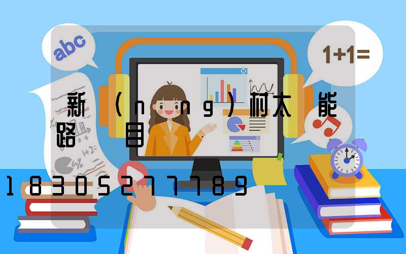 新農(nóng)村太陽能路燈項目