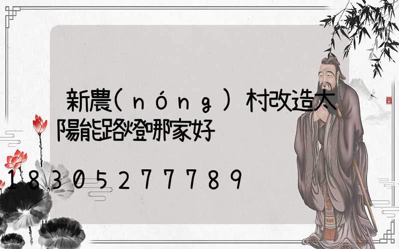 新農(nóng)村改造太陽能路燈哪家好