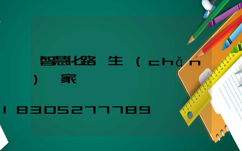 智慧化路燈生產(chǎn)廠家