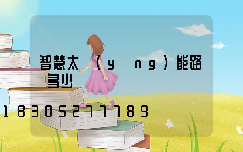 智慧太陽(yáng)能路燈多少錢