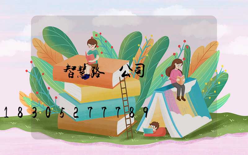 智慧路燈公司