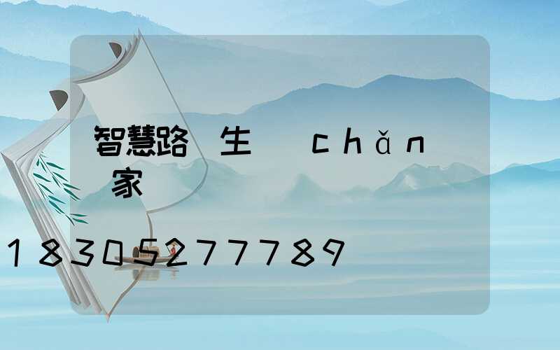 智慧路燈生產(chǎn)廠家