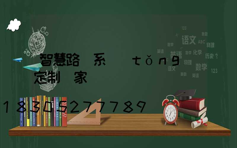 智慧路燈系統(tǒng)定制廠家