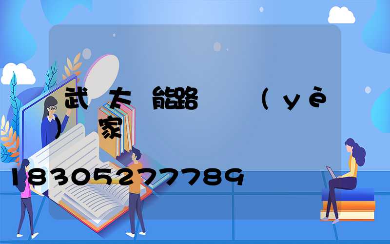 武漢太陽能路燈專業(yè)廠家