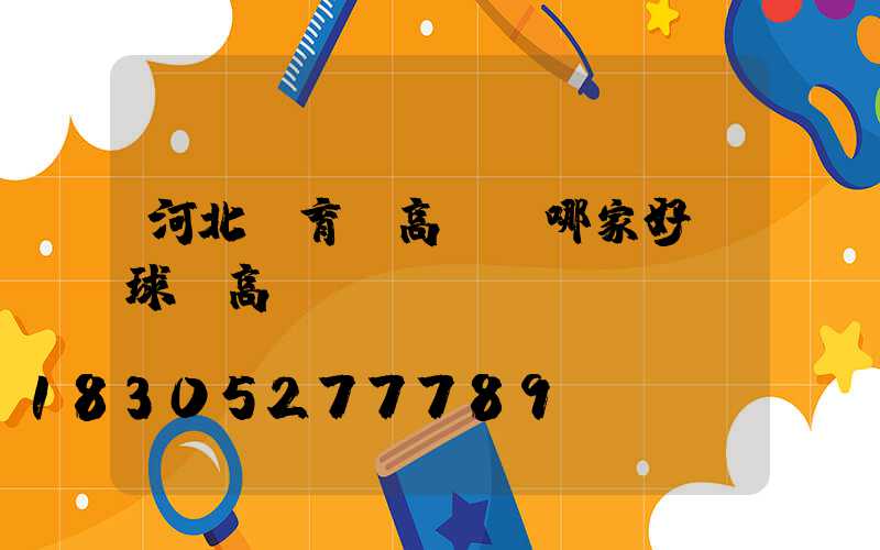 河北體育場高桿燈哪家好(球場高桿燈報價)