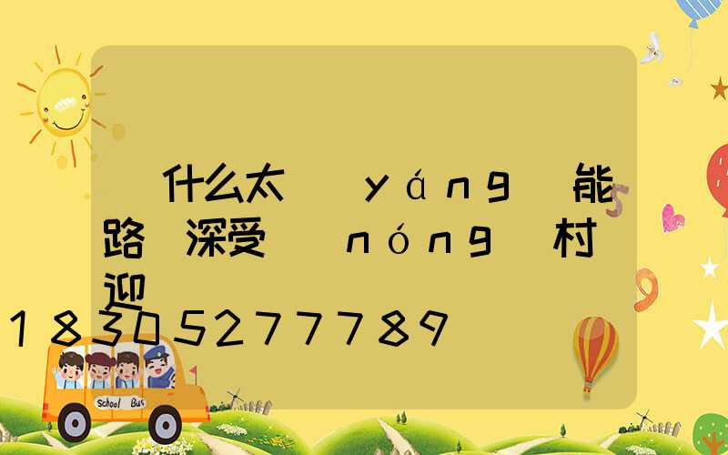 為什么太陽(yáng)能路燈深受農(nóng)村歡迎